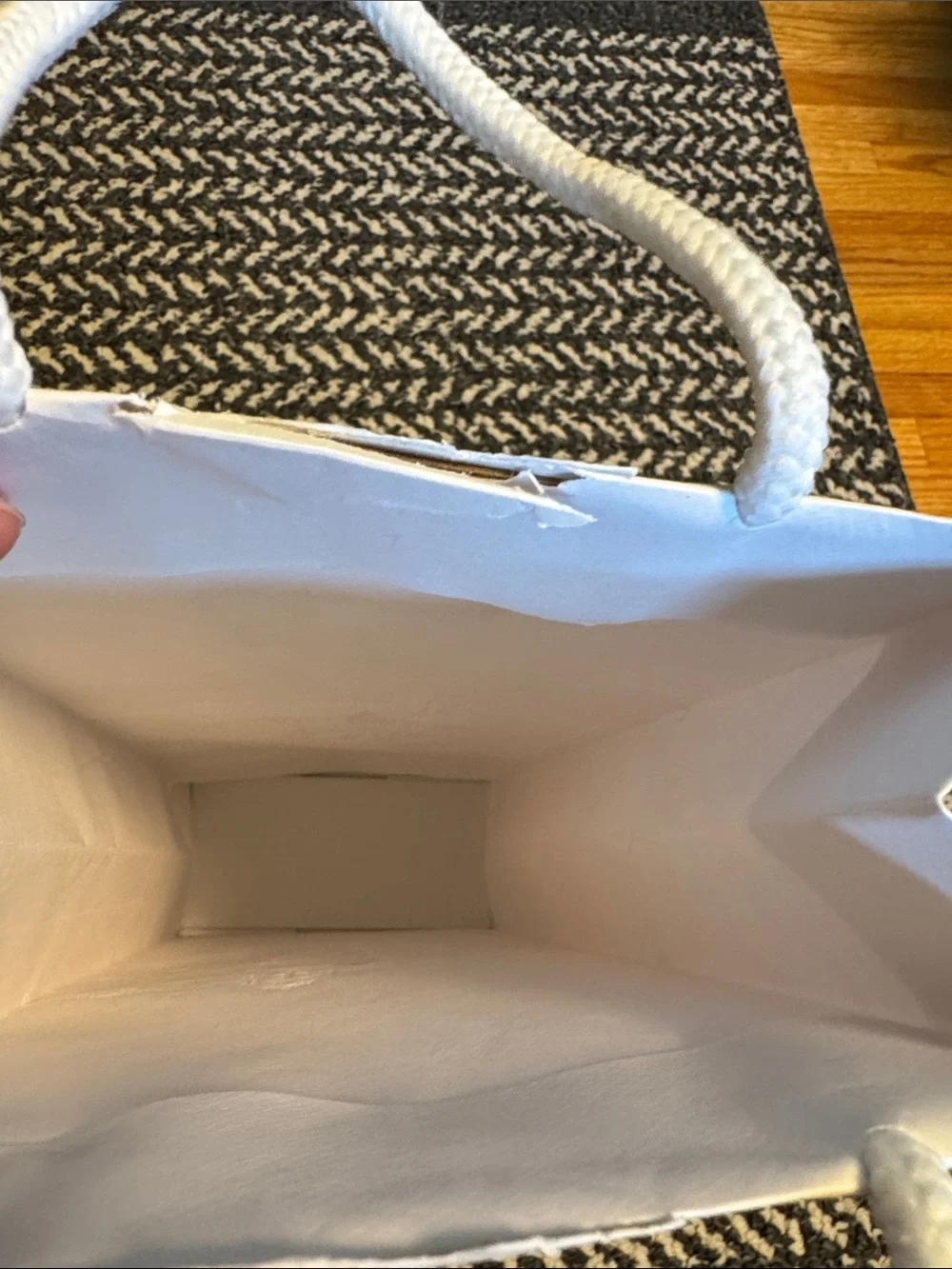 Prada White Embossed Logo Paper Bag with Rope Handles